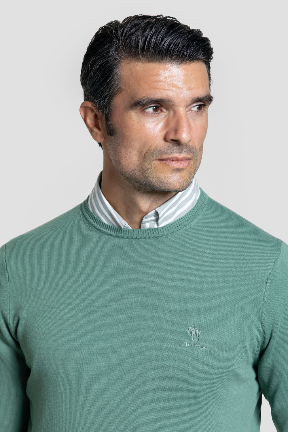 Jersey Cuello Caja Verde Hoja - Raíces