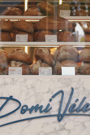 Sahariana Cinturon Camel